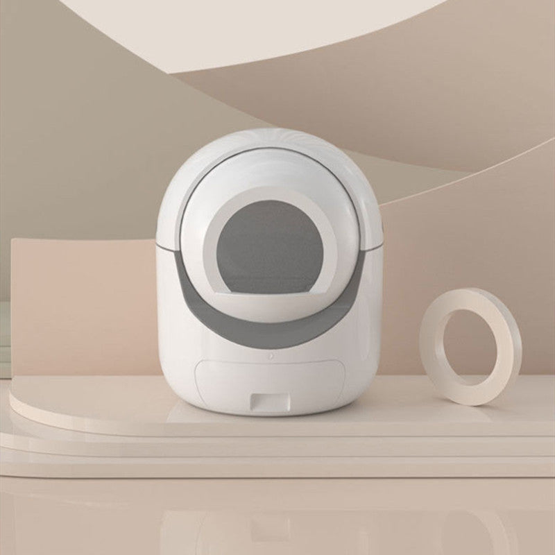 The Zenith Smart Sanctuary