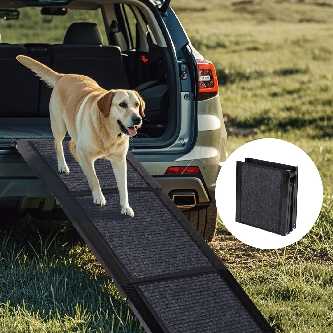 The Ascent Quad-Fold Terrain Ramp