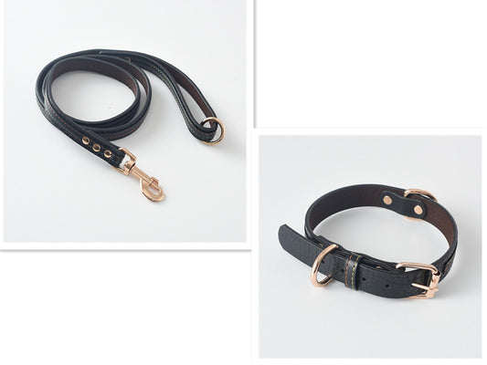 The Mason Collar & Lead Set