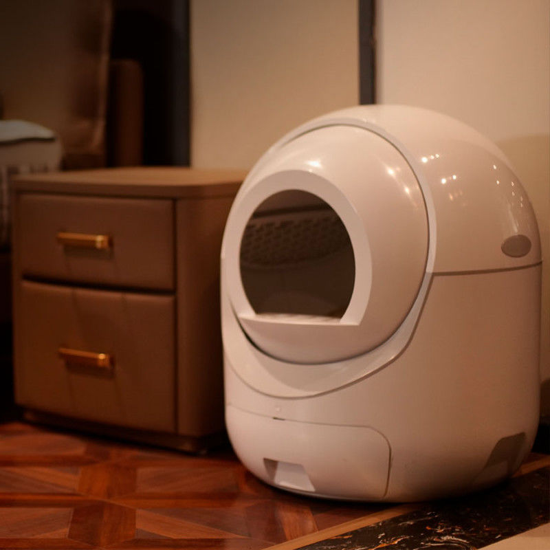 The Zenith Smart Sanctuary