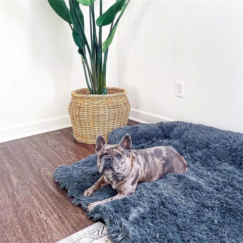 Cloud-Comfort Calming Bed & Furniture Protector