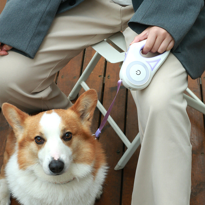 Aurora Glow Retractable Lead