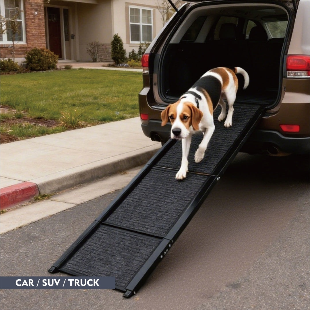 The Ascent Quad-Fold Terrain Ramp