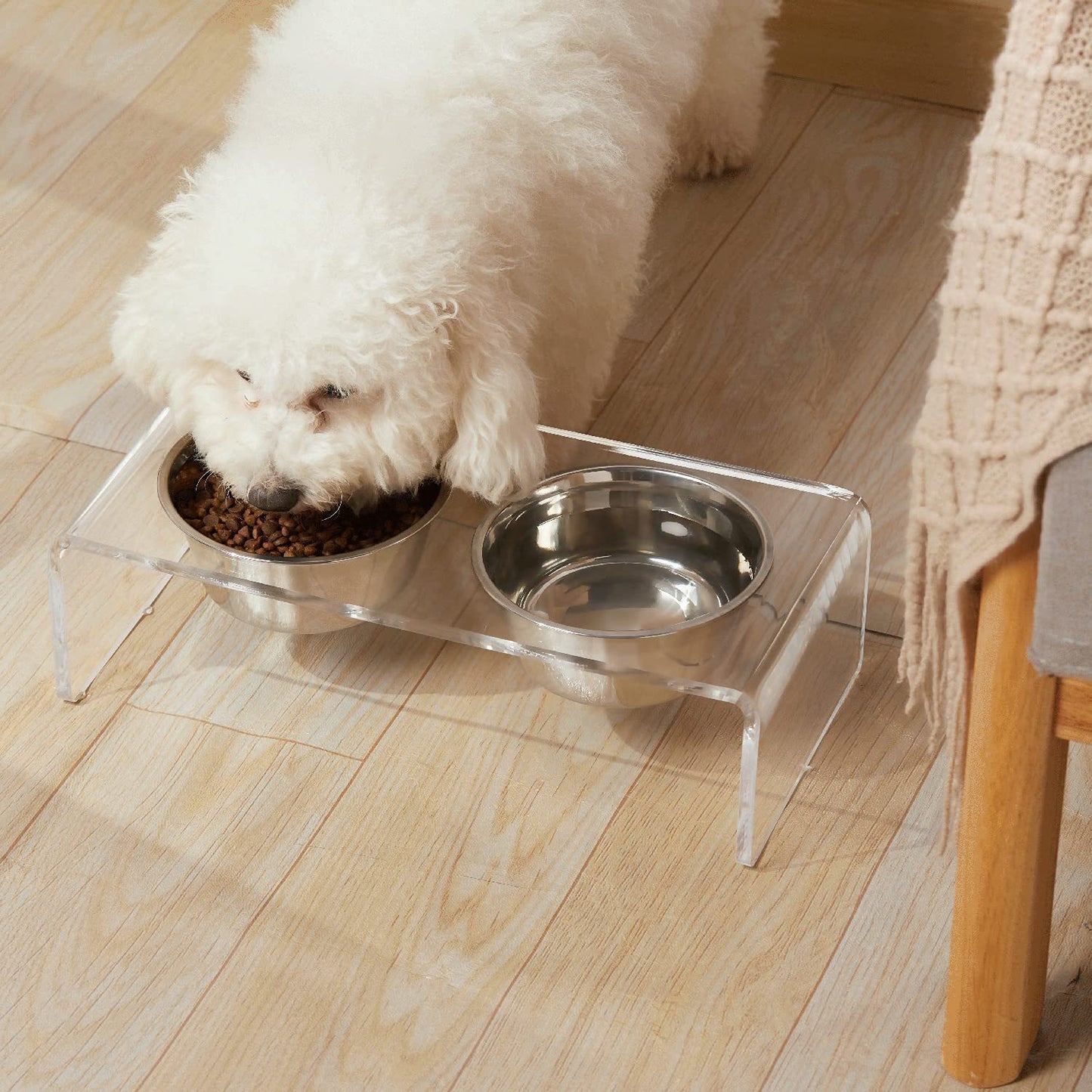 Lucent Elevated Feeder