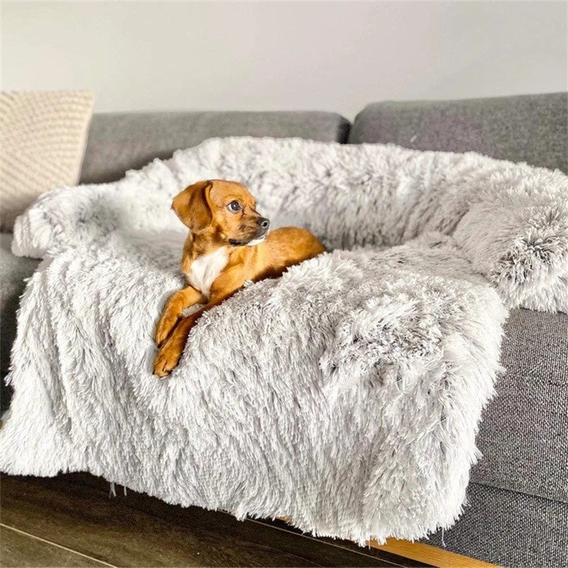 Cloud-Comfort Calming Bed & Furniture Protector