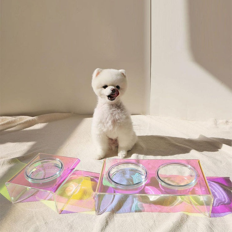 The Prism Collection: Iridescent Elevated Feeder