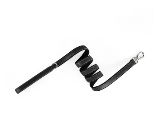 Signature Leather Paddock AirTag Collar and Leash Set