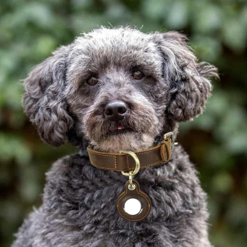 The Heritage Collar